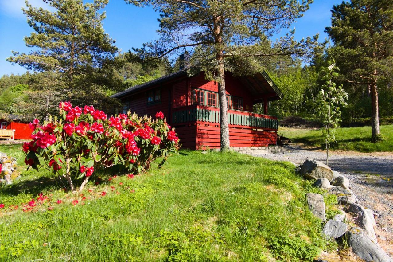 Sjoholt Camping Ngoại thất bức ảnh